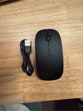 Bluetooth Mouse with Charger